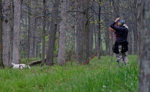 Training Canine Tracking Classes 