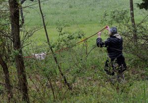 Dog Tracking Sport 