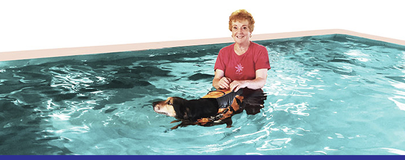 Dog water therapy store pool