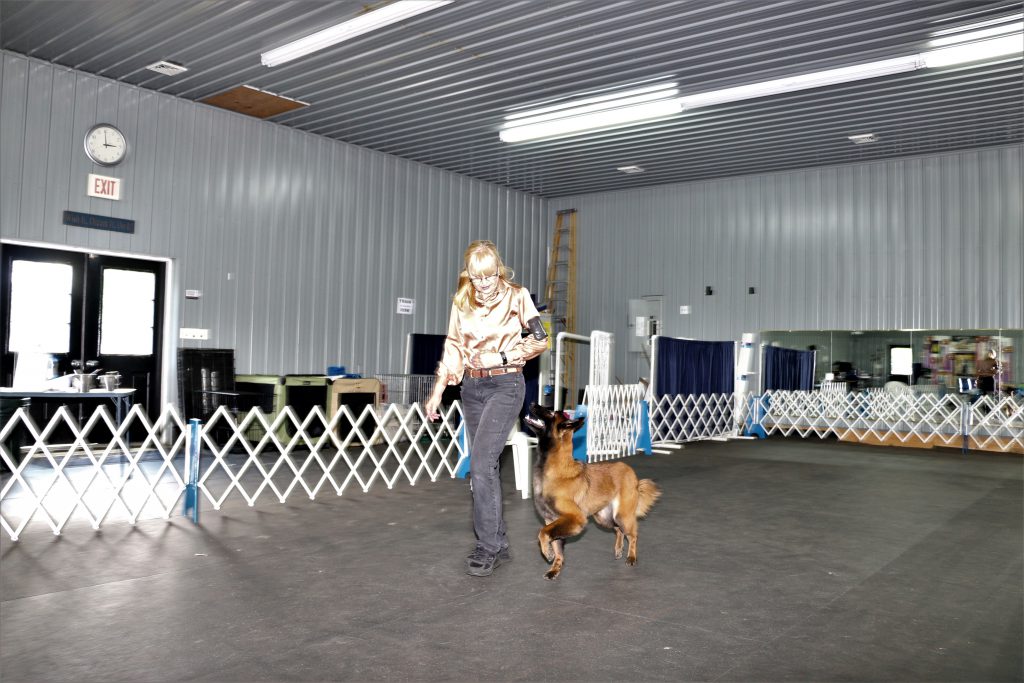 Dog Training Match | Up Front Obedience School and Dog Center | New Jersey