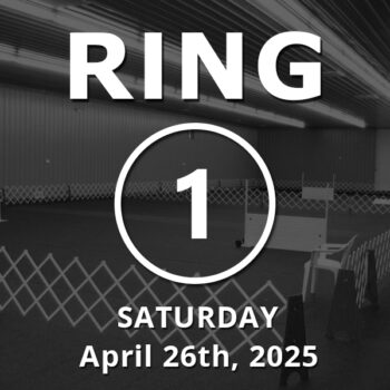 Ring 1: Utility April 26th, 2025