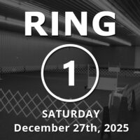 Ring 1: Utility December 27th, 2025
