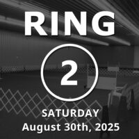 Ring 2: Open August 30th, 2025