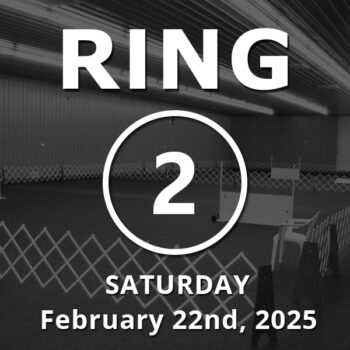 Ring 2: Open February 22nd, 2025