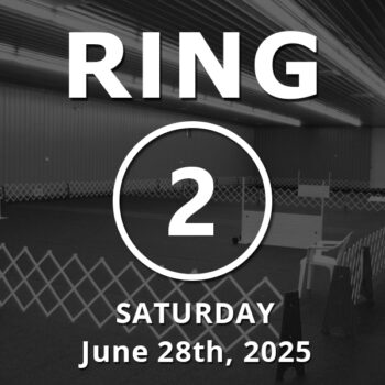 Ring 2: Open June 28th, 2025