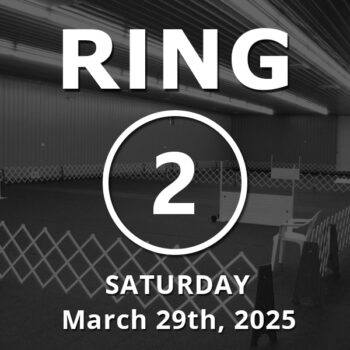 Ring 2: Open March 29th, 2025