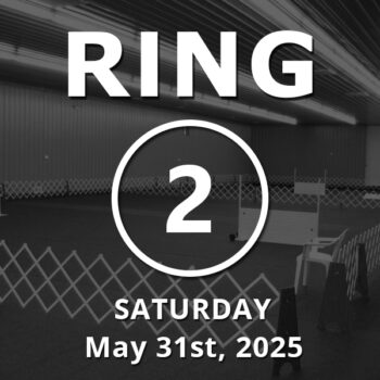 Ring 2: Open May 31st, 2025