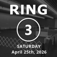 Ring 3: Novice / Stays / Open April 25th, 2026