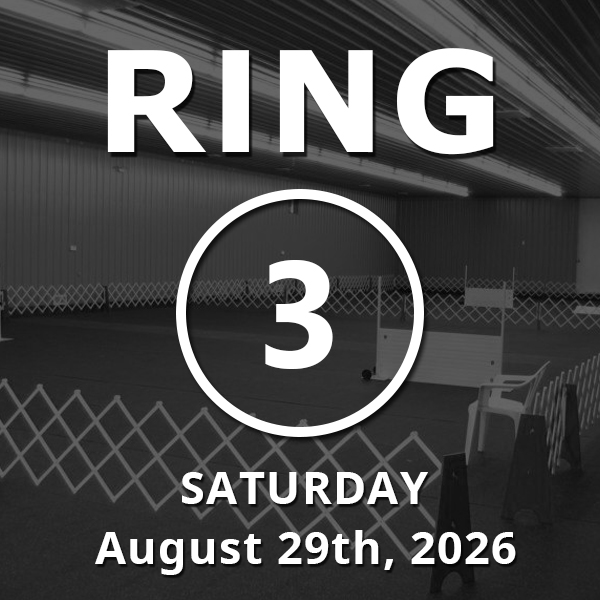 Ring 3: Novice / Stays / Open August 25th, 2026
