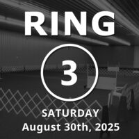 Ring 3: Novice / Stays / Open August 30th, 2025