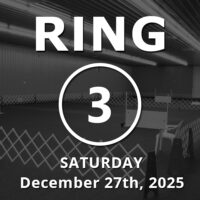 Ring 3: Novice / Stays / Open December 27th, 2025