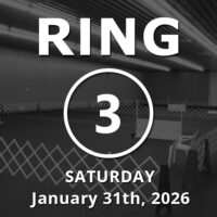 Ring 3: Novice / Stays / Open January 31th, 2026