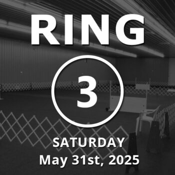 Ring 3: Novice / Stays / Open May 31st, 2025