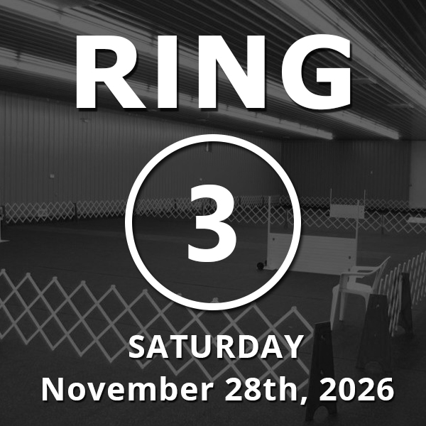 Ring 3: Novice / Stays / Open November 28th, 2026