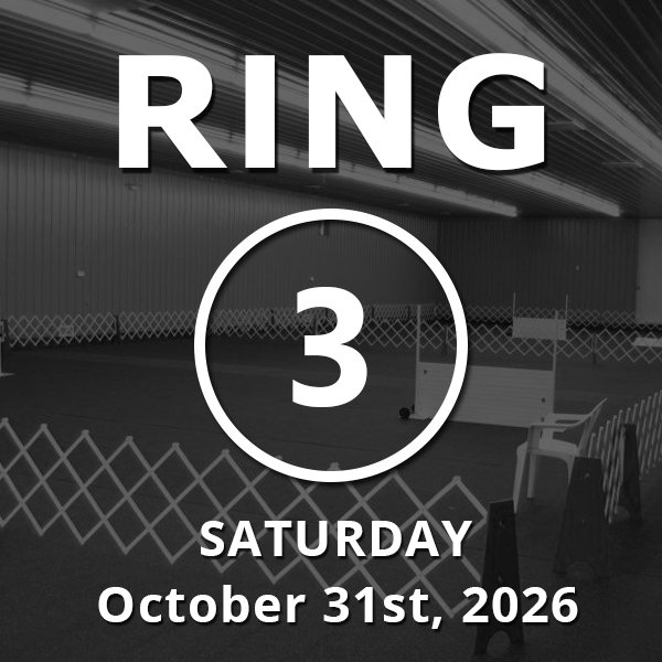 Ring 3: Novice / Stays / Open October 31st, 2026