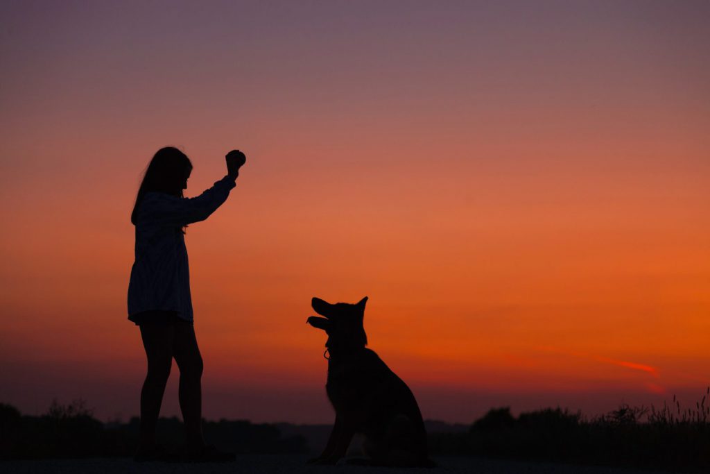 Dog Training at Sunset